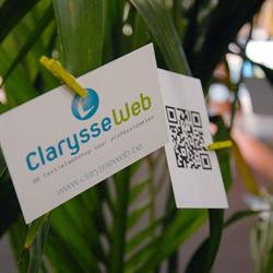 Clarysseweb