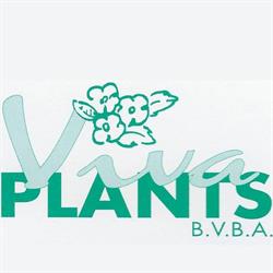 Viva Plants