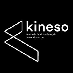 Kineso