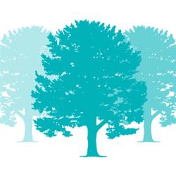 Treetops Real Estate