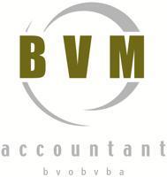 Bvm Accountant