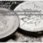 SilverCoinInvest