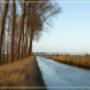 Het atelier in het landschap