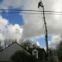 afbreken bomen