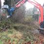 bomen