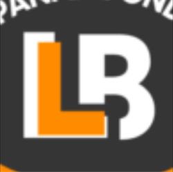 Brisaert Ludo Maatkasten & Spanplafonds