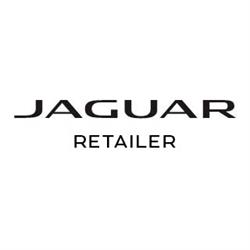 Jaguar Asse Van Vaerenbergh