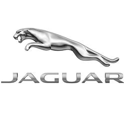 Jaguar Mechelen - Van Mossel