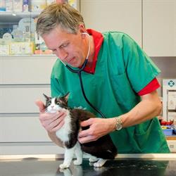 Dierenarts Dr Devloo Johan