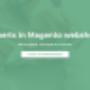 Experts in Magento webshops
