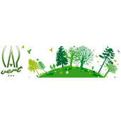 Cap Vert Entreprises