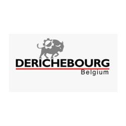 Derichebourg Belgium / Cashmetal Bruxelles