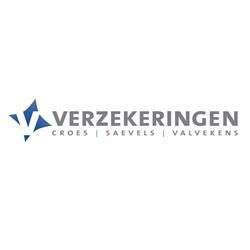 Verzekeringen CSV