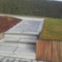 entretien allée de jardin Laurent Mottet