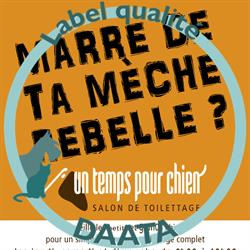 Un temps pour chien
