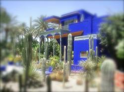 Majorelle