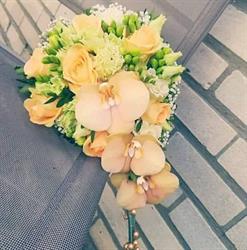 Fleur de rêve