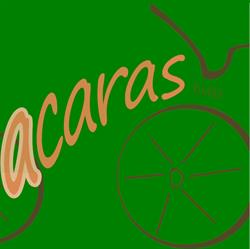 ACARAS bvba