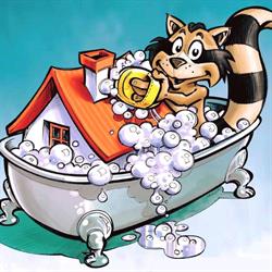 Domestic Services