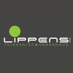Simon Lippens