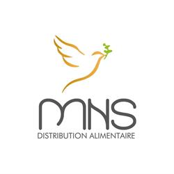 MNS