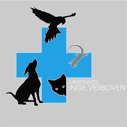 Dierenarts Inge Verboven