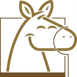 De Ponyhoeve Turnhout vzw