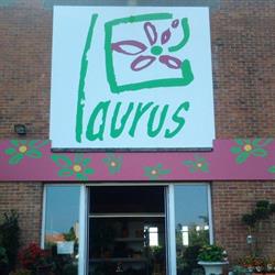 Bloemen Laurus