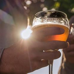 Brasserie du Val de Dendre Sprl