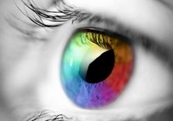 Colorelle Vof