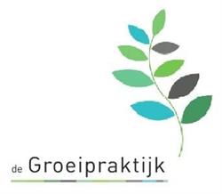 De Groeipraktijk