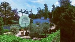 La Casa de los Olivos-Het Olijfbomenhuis