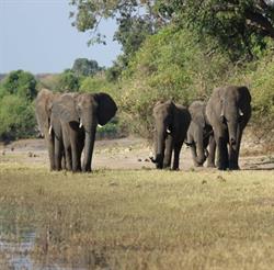 Jetair Premium Partner SCH Voyages