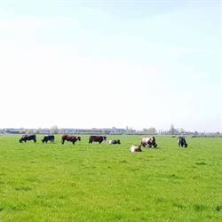 Ferme de la Blanche Fontaine