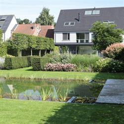 Antares Bed&Breakfast