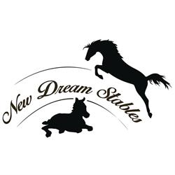 New Dream Stables