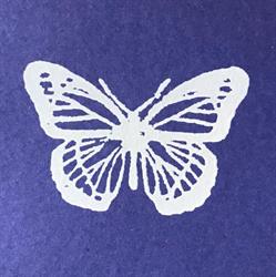 PAPILLON Toystore