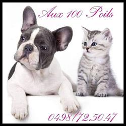 Aux 100 Poils