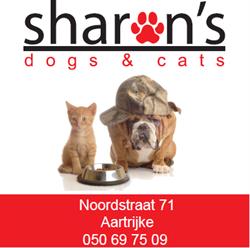 Sharon's Dogs & Cats