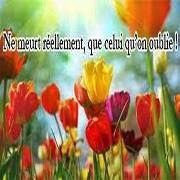 In Memoria SComm