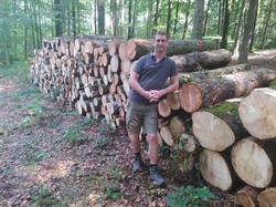boom-en-snoeiwerken Vanvlasselaer Davy