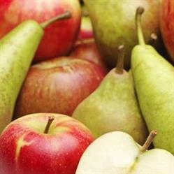 De Fruithoeve
