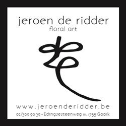 De ridder Jeroen