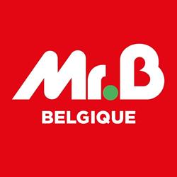 Mr.Bricolage Soignies