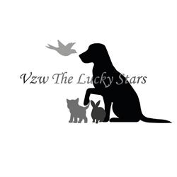 The Lucky Stars Vzw