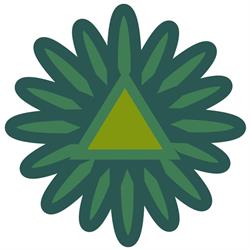 Centre Ressourcetoit - Thérapies - Formations - Kinésiologie - Reiki - Pleine Conscience