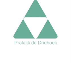Praktijk De Driehoek