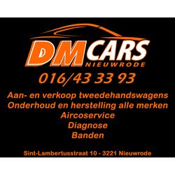 DM Cars Nieuwrode