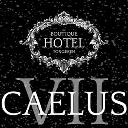 Boutique Hotel Caelus VII