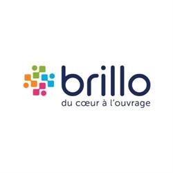 Brillo scrl FS